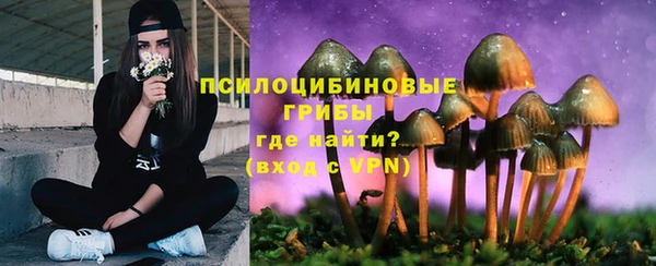 спайс Киренск