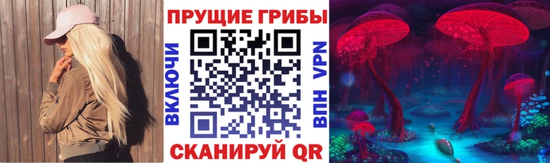 Купить где  Череповец  Псилоцибиновые грибы мухоморы 